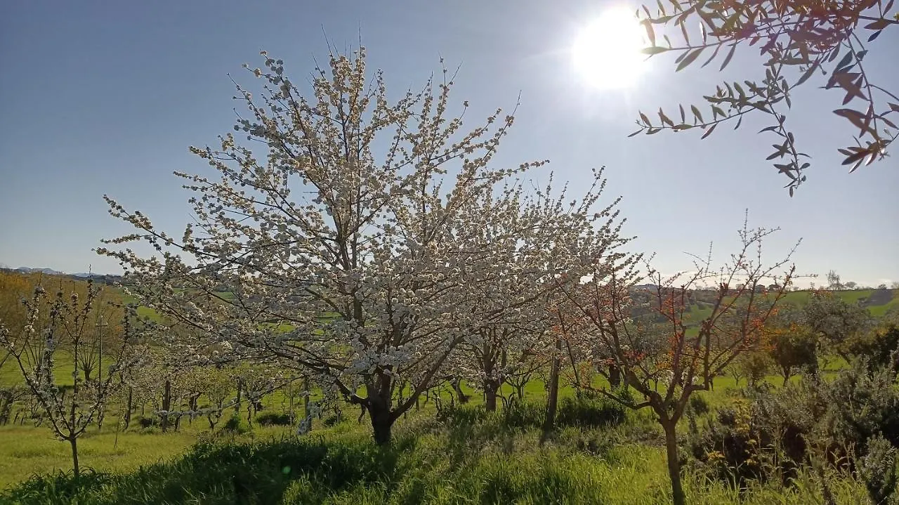 Agriturismo I Ciliegi Appartamento Ginestra Montignano 0*,