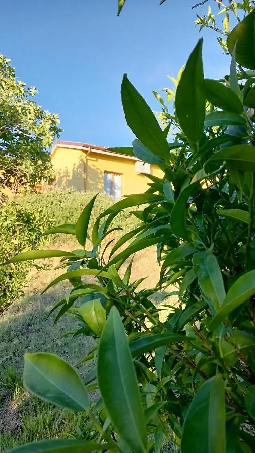 Agriturismo I Ciliegi Appartamento Ginestra Montignano Italy