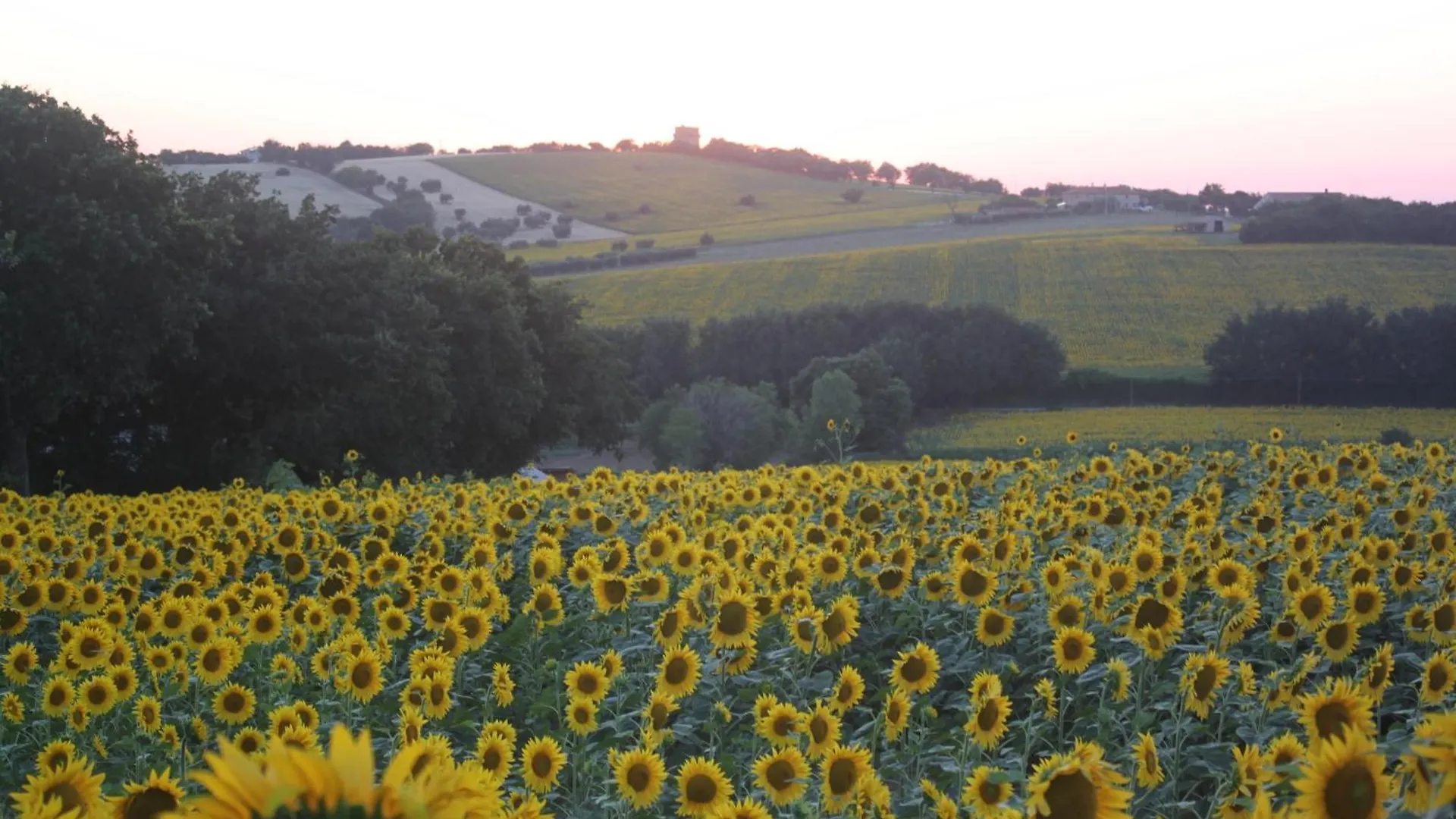 Holiday home Agriturismo I Ciliegi Appartamento Ginestra Montignano